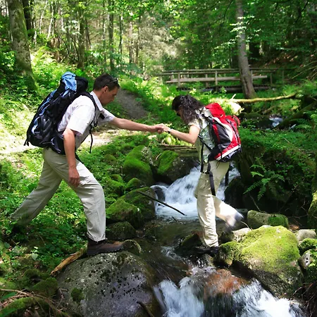Restaurant Lindenhof 3* Bräunlingen